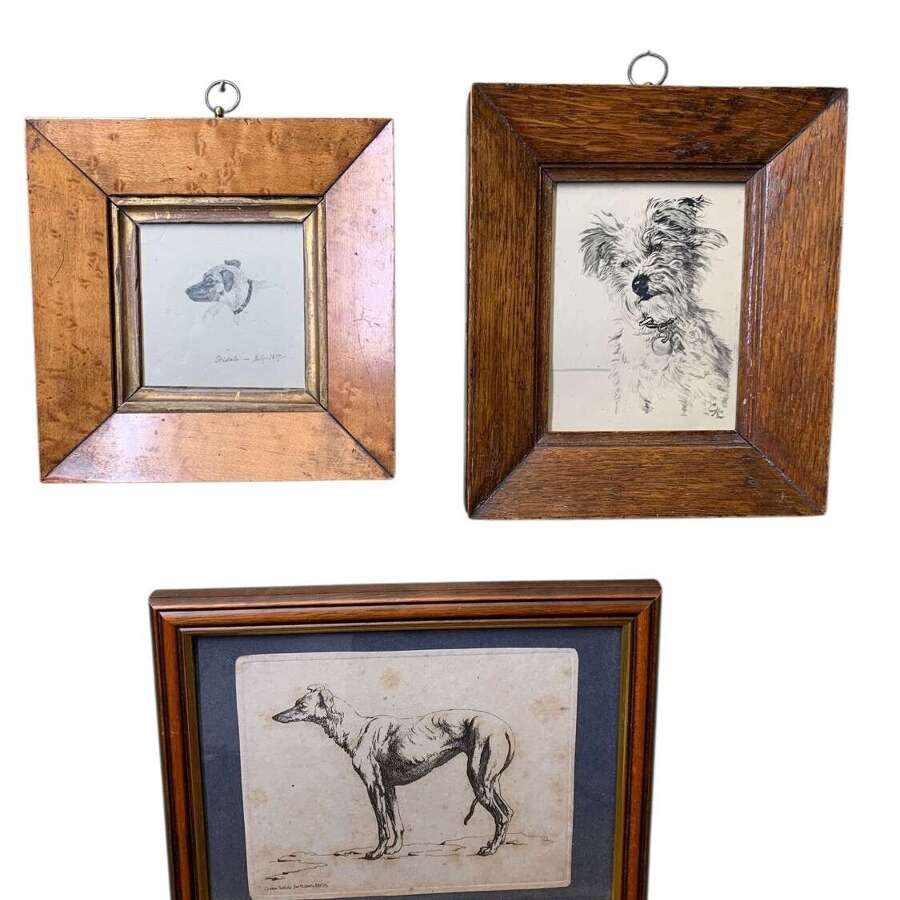 A Little Collection Of 3 Pencil Dog Portraits