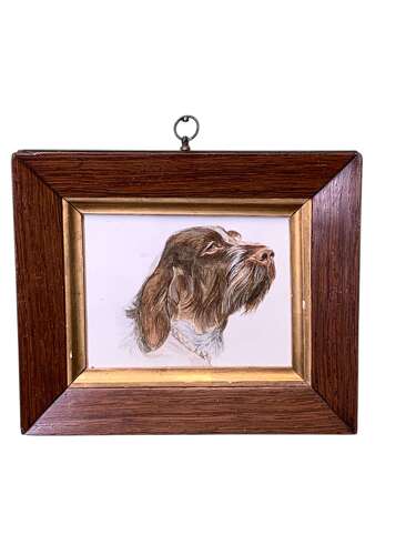 Early 20th Century Watercolour Portrait Of A Wire Haired Pointer