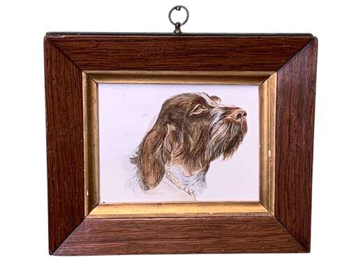 Early 20th Century Watercolour Portrait Of A Wire Haired Pointer