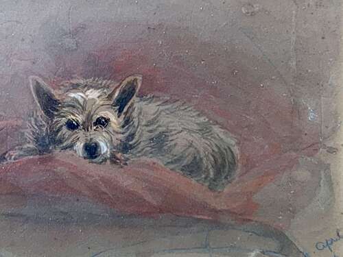 19th Century Watercolour Of A Terrier Called Joie