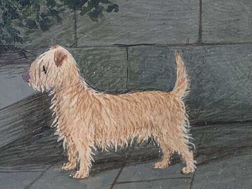 Early 20th Century Portrait Of A Terrier In A Courtyard