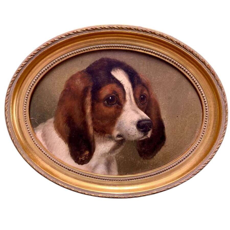19th Century Oil Study Of A Young Spaniel