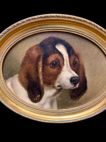 19th Century Oil Study Of A Young Spaniel