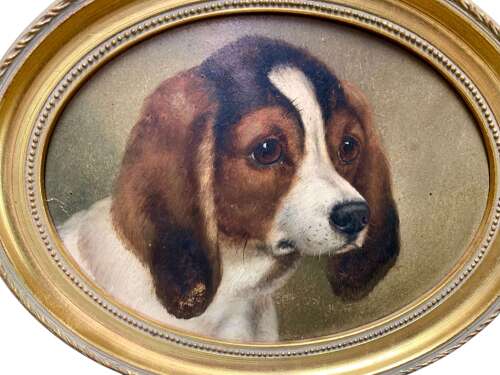 19th Century Oil Study Of A Young Spaniel
