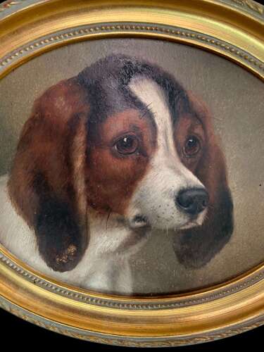 19th Century Oil Study Of A Young Spaniel