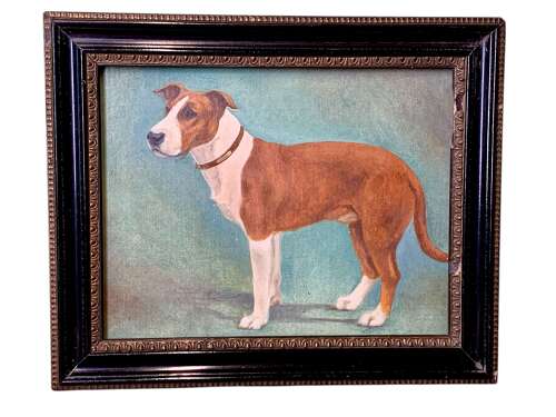 Early 20th C Portrait Of A Staffy By Maud Turner