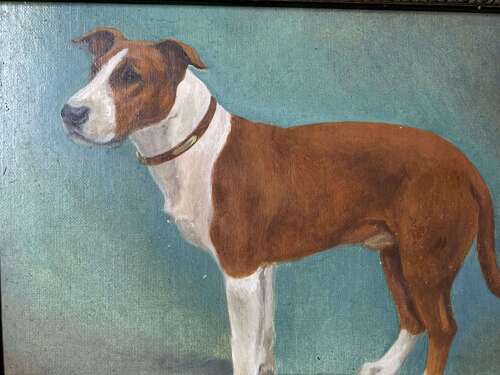 Early 20th C Portrait Of A Staffy By Maud Turner