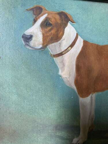 Early 20th C Portrait Of A Staffy By Maud Turner