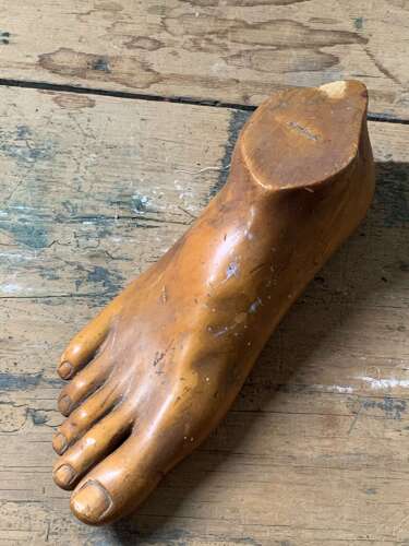 Artist Model Of A Foot