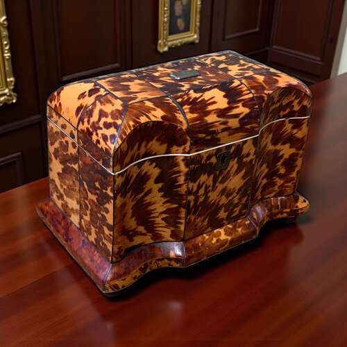 Georgian Tortoiseshell Tea Caddy