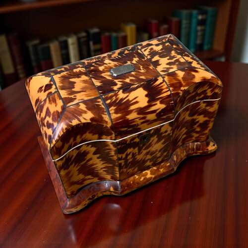 Georgian Tortoiseshell Tea Caddy