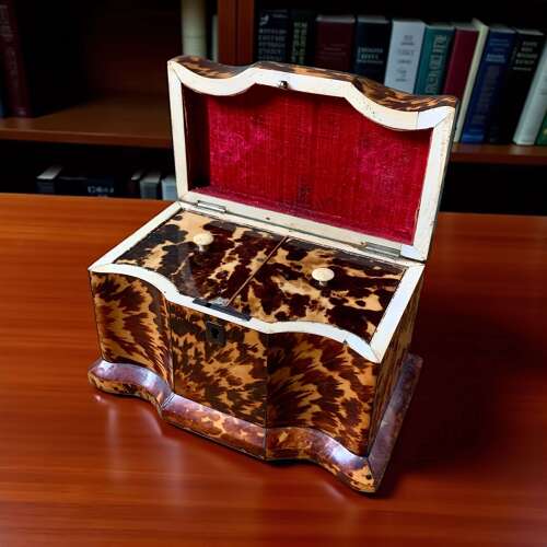 Georgian Tortoiseshell Tea Caddy