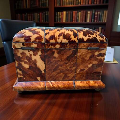 Georgian Tortoiseshell Tea Caddy