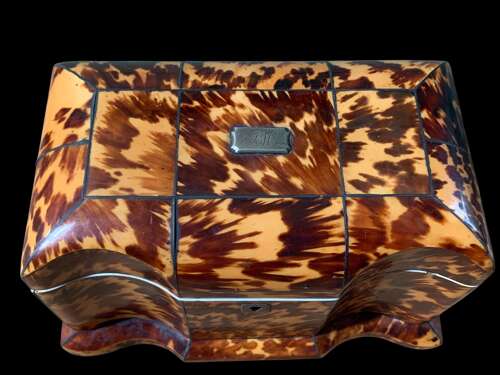 Georgian Tortoiseshell Tea Caddy