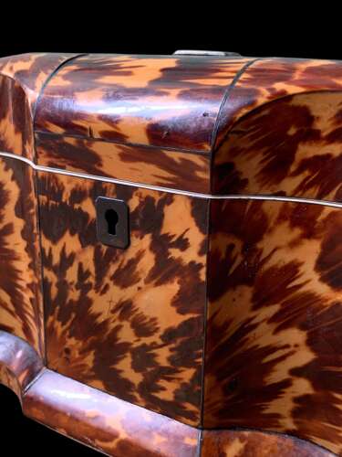 Georgian Tortoiseshell Tea Caddy