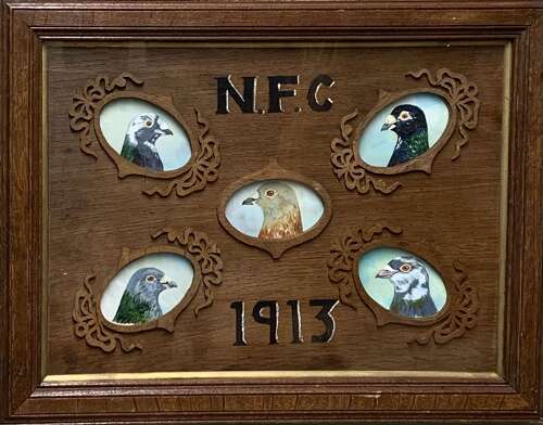 Rare Edwardian Oil Portraits Of Racing Pigeons