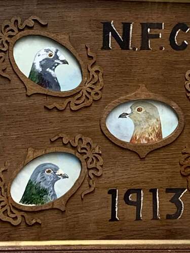 Rare Edwardian Oil Portraits Of Racing Pigeons