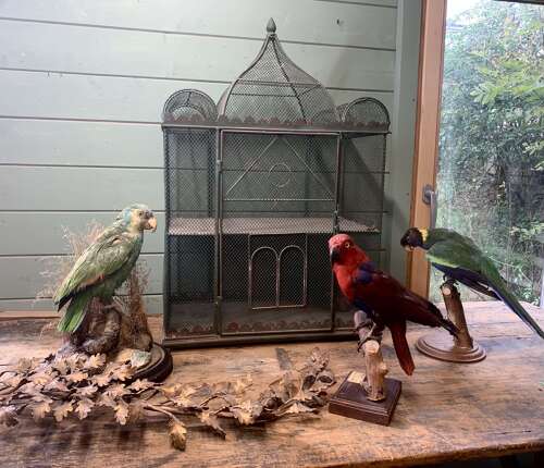Antique Palace Birdcage
