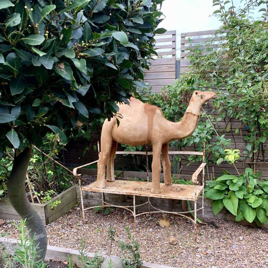 French Nativity Model Of A Camel