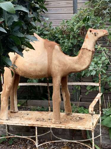 French Nativity Model Of A Camel