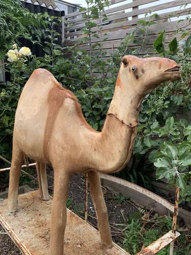 French Nativity Model Of A Camel