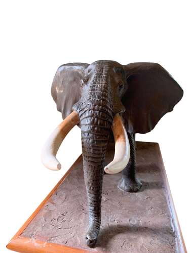 A Rare Maquette Of An African Elephant By Terry Matthews
