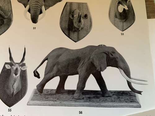 A Rare Maquette Of An African Elephant By Terry Matthews