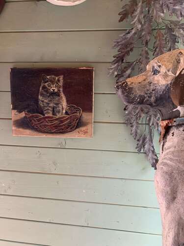 A Startled Kitten - Oil On Canvas