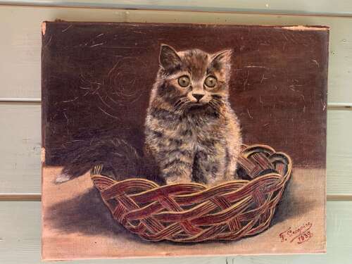 A Startled Kitten - Oil On Canvas