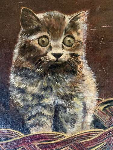 A Startled Kitten - Oil On Canvas