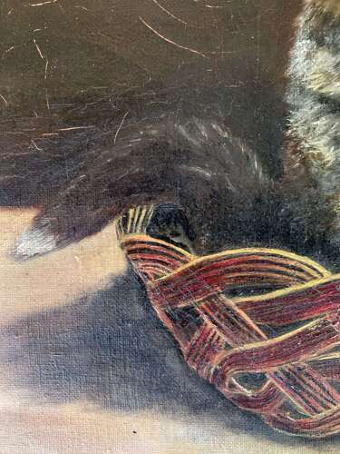 A Startled Kitten - Oil On Canvas
