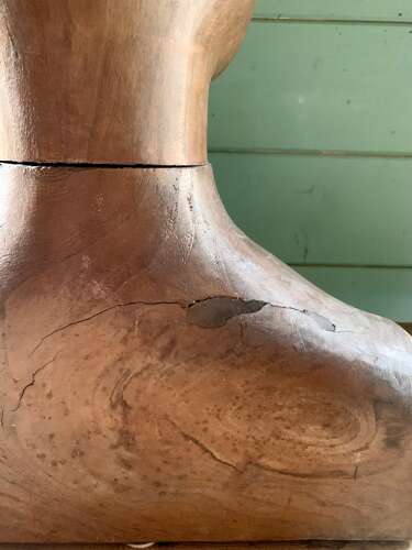 RARE CARVED ELM FRENCH MILLINER’S HEAD & SHOULDERS