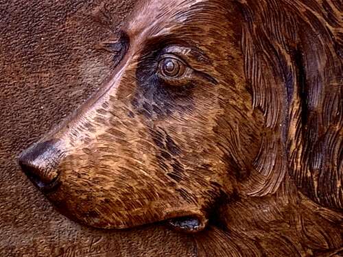 EARLY 20th C CARVED PANEL OF A DOG’S HEAD