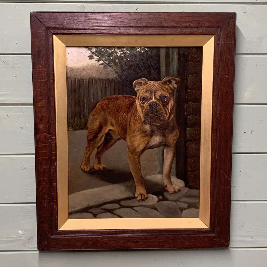 AN ENGLISH BULLDOG - OIL ON BOARD