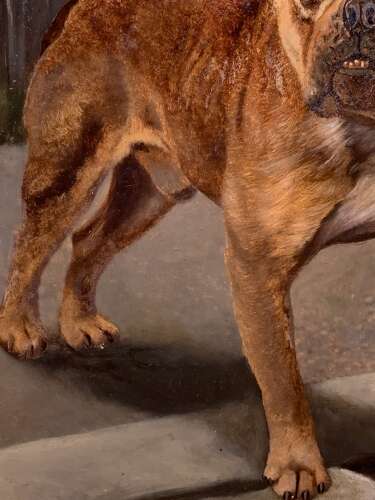 AN ENGLISH BULLDOG - OIL ON BOARD