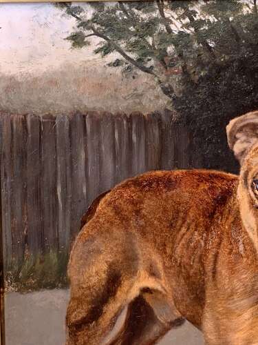 AN ENGLISH BULLDOG - OIL ON BOARD