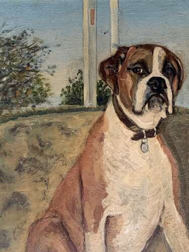 PORTRAIT OF DORA THE BOXER DOG - OIL ON BOARD