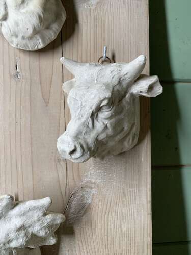 LATE 19th C SET OF 6 BUTCHER’S PLASTER CASTS