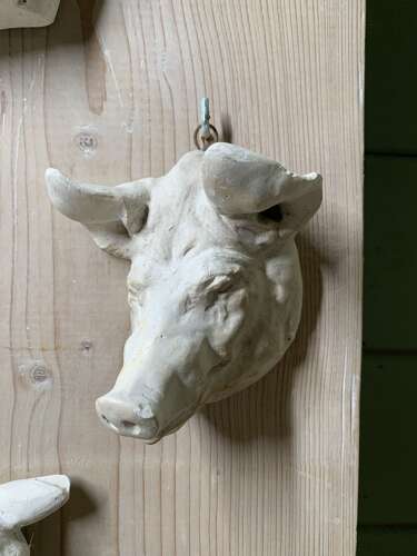LATE 19th C SET OF 6 BUTCHER’S PLASTER CASTS