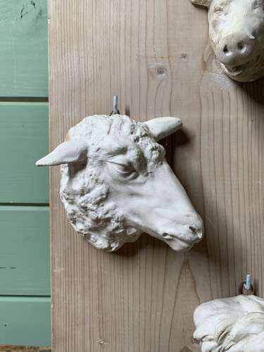 LATE 19th C SET OF 6 BUTCHER’S PLASTER CASTS