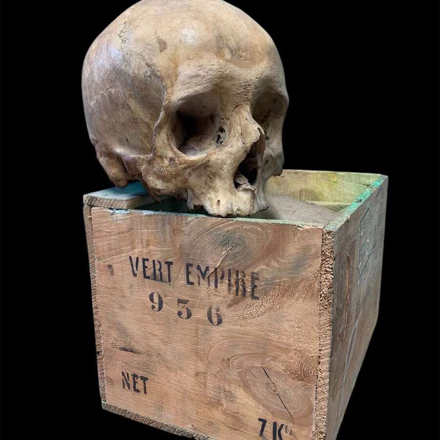 AN ANTIQUE MEDICAL OR TEACHING AID HUMAN SKULL