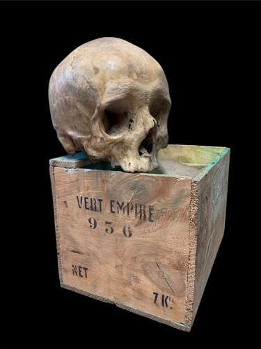 AN ANTIQUE MEDICAL OR TEACHING AID HUMAN SKULL