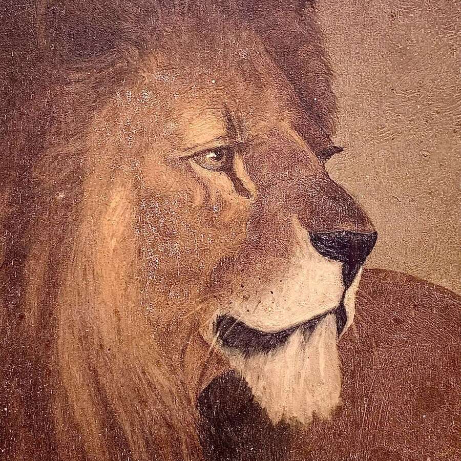 NAIVE PORTRAIT OF A LION