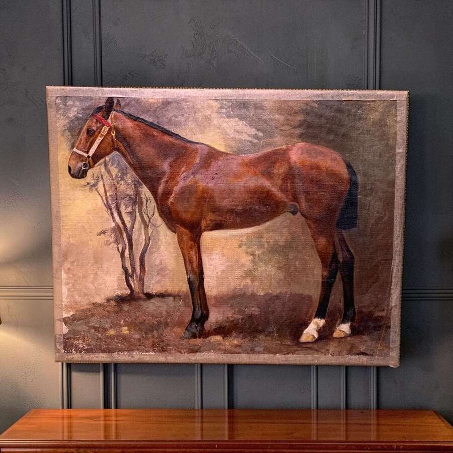 EARLY 20th C OIL PORTRAIT OF A HORSE
