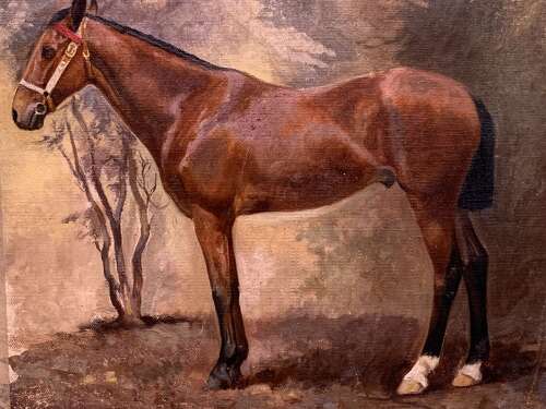 EARLY 20th C OIL PORTRAIT OF A HORSE