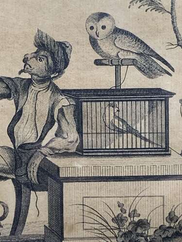 MONKEY & BIRDS - AN 18th C ETCHING