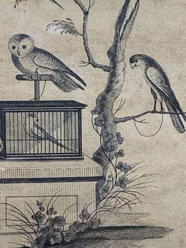 MONKEY & BIRDS - AN 18th C ETCHING