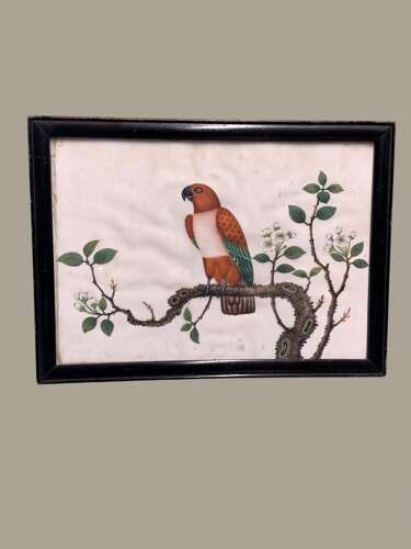 A FINE 19th C CHINESE SCHOOL WATERCOLOUR OF A PARROT