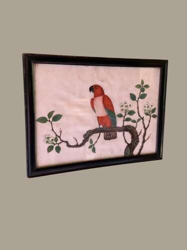 A FINE 19th C CHINESE SCHOOL WATERCOLOUR OF A PARROT