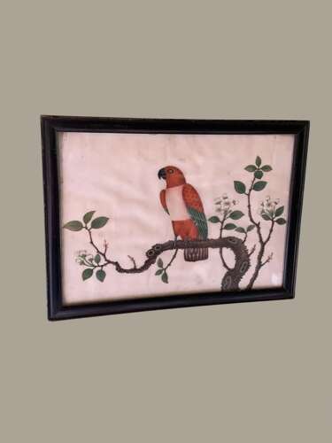 A FINE 19th C CHINESE SCHOOL WATERCOLOUR OF A PARROT